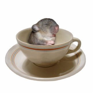 Pas als ik mijn koffiefoto-sculptuur heb gehad staand fotobeeldje