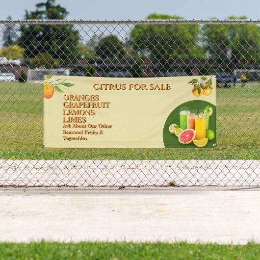 Pas Citrus Te Koop Fruitkraam Bedrijf Aan Spandoek (Insitu)