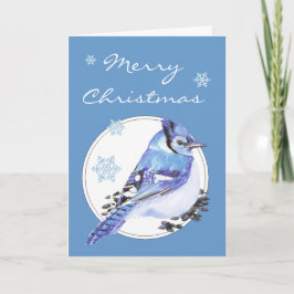 Pas de Blauwe Vlaamse gaai van Kerstmis, de Vogel Feestdagen Kaart