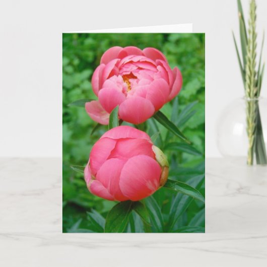 Pas DE Deux Kaart (Voorkant)