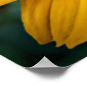 Pas de prachtige gele ventilator aan poster (Hoek)