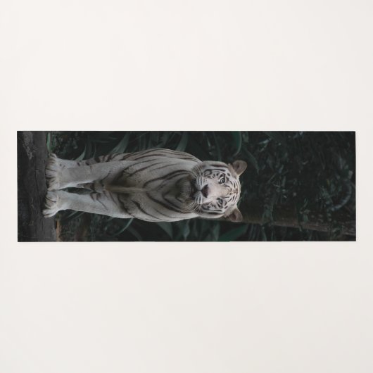 Pas de Witte Tijger van de Naam in het Oerwoud Yog Yogamat (Achterkant (horizontaal))