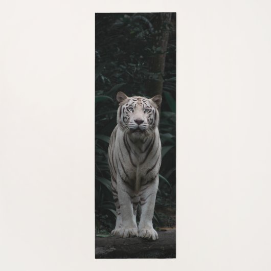 Pas de Witte Tijger van de Naam in het Oerwoud Yog Yogamat (Achterkant)