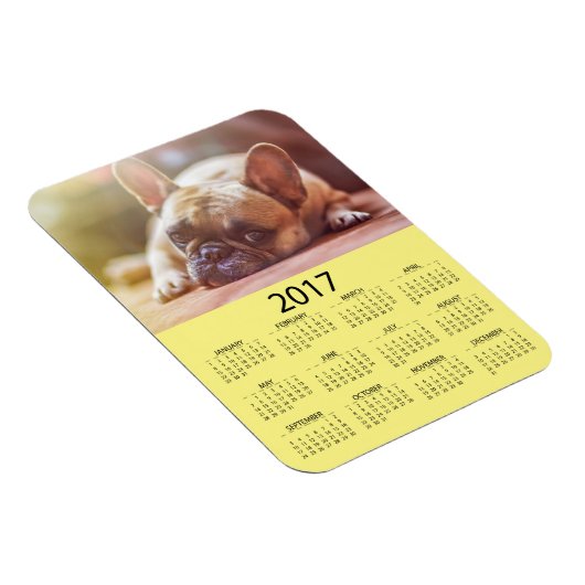 Pas dit 2017 Mini-koelkast aan Magneet (Rechterzijde)