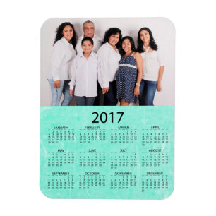 Pas dit 2017-minikoelkast aan magneet