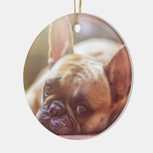 Pas dit Ornament aan met het Afbeelding van uw dic (Links)