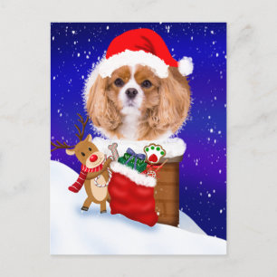 Pas Dog Santa Rooftop Reindeur met Geschenken aan Briefkaart