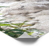 Pas Dunn's rivierfoto's aan Poster (Hoek)