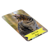 Pas een familie huisdier foto magneet toevoegen te (Rechterzijde)