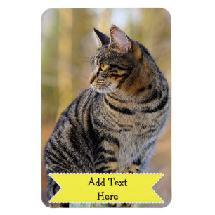 Pas een Magnet van de Foto van het Pet van de Fami Magneet