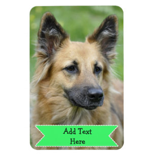Pas een Magnet van de Foto van het Pet van de Fami Magneet