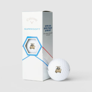 Pas getrouwd bruid en bruidegom in een golfkar  golfballen