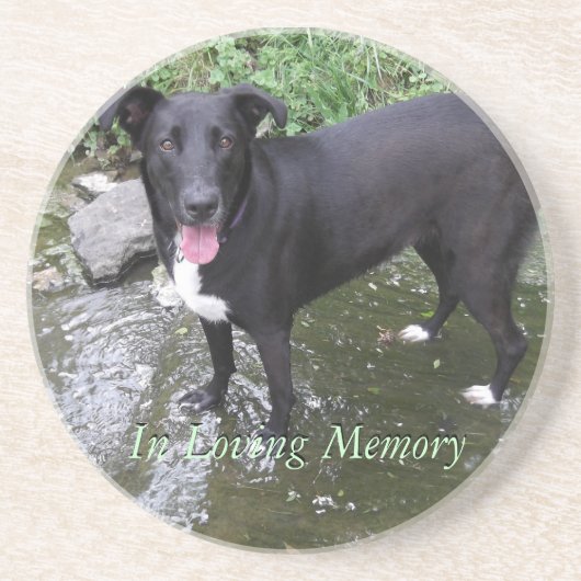 pas het gepersonaliseerde onderzetter van de fotoz (Voorkant)