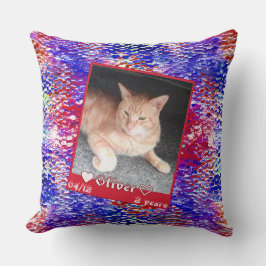 Pas het omgezette kattenhuisje op blauwe rode text kussen