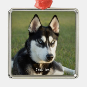 Pas het portret van de puppy Siberian Husky aan Metalen Ornament