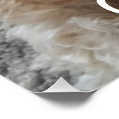 Pas je familiehond aan perfect poster (Hoek)