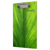 Pas mooi groen lef aan klembord (Links)