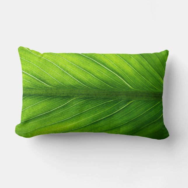 Pas mooi groen lef aan kussen (Voorkant)