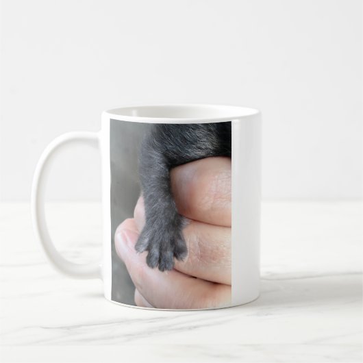Pas Op Me, Kitten Koffiemok (Links)