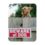 Pas op voor Cute Little Dog Magneet (Verticaal)