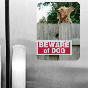 Pas op voor Cute Little Dog Magneet