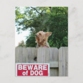 Pas op voor Cute Little Yorkie Dog Briefkaart (Voorkant)