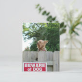 Pas op voor Cute Little Yorkie Dog Briefkaart (Staand voorkant)