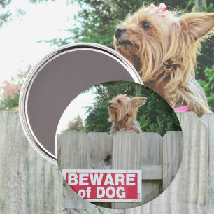 Pas op voor Cute Yorkie Magneet