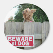 Pas op voor Cute Yorkie Magneet (Voorkant)