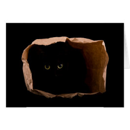 Pas op voor de aanvalskat!