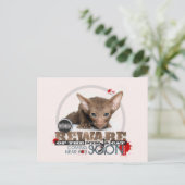 Pas op voor de Cat van Ninja Briefkaart (Staand voorkant)