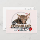 Pas op voor de Cat van Ninja Briefkaart (Voorkant / Achterkant)