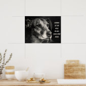 Pas op voor de hond, aangepaste petfoto poster (Keuken)