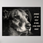 Pas op voor de hond, aangepaste petfoto poster (Voorkant)
