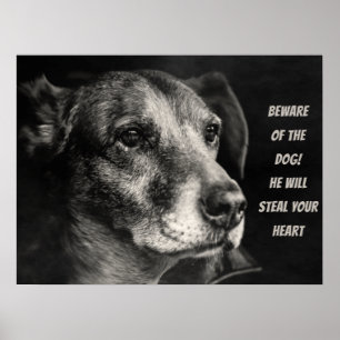 Pas op voor de hond, aangepaste petfoto poster