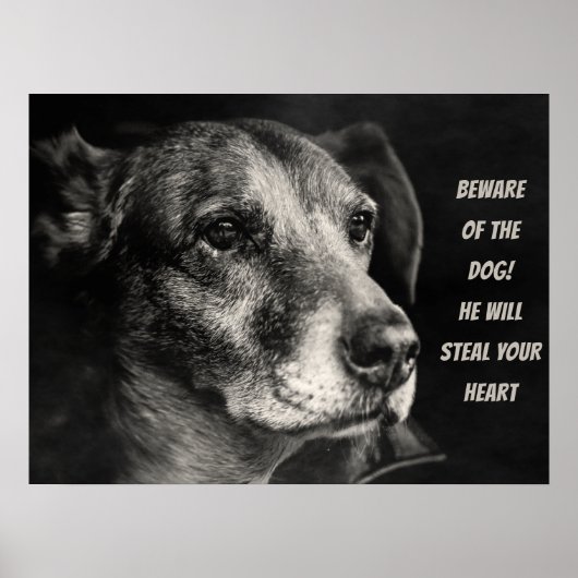 Pas op voor de hond, aangepaste petfoto poster (Voorkant)