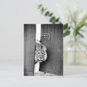 Pas op voor de hond briefkaart (Staand voorkant)