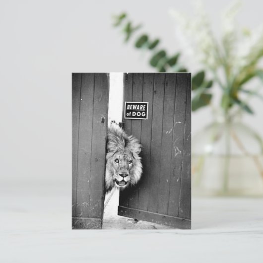 Pas op voor de hond briefkaart (Staand voorkant)