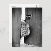 Pas op voor de hond briefkaart (Voorkant / Achterkant)