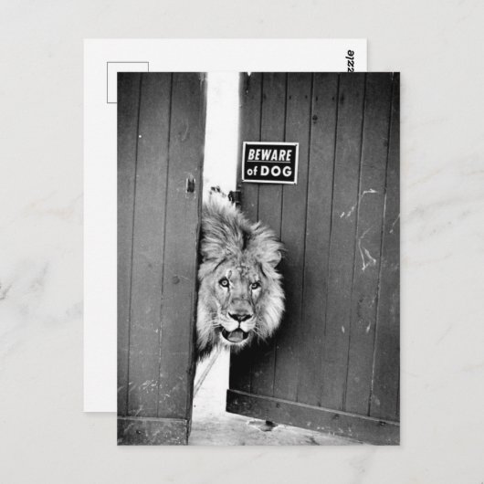 Pas op voor de hond briefkaart (Voorkant / Achterkant)