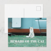 Pas op voor de Kat Briefkaart (Voorkant / Achterkant)