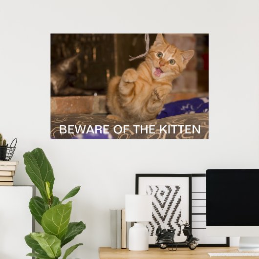 Pas op voor de Kitten Poster (Thuiskantoor)