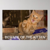 Pas op voor de Kitten Poster (Voorkant)