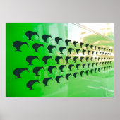 Pas op voor de Kiwi! Poster (Voorkant)