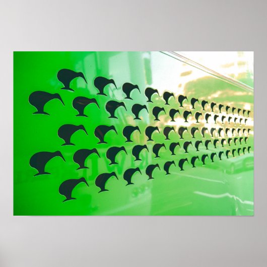 Pas op voor de Kiwi! Poster (Voorkant)