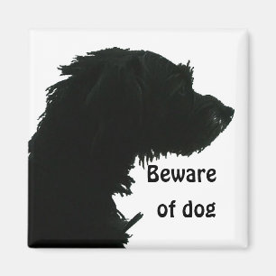 Pas op voor Dog Magneet
