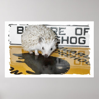 Pas op voor Hedégel Poster