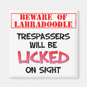 Pas op voor het likken van Labradoodle (witte) mag Magneet (Voorkant)