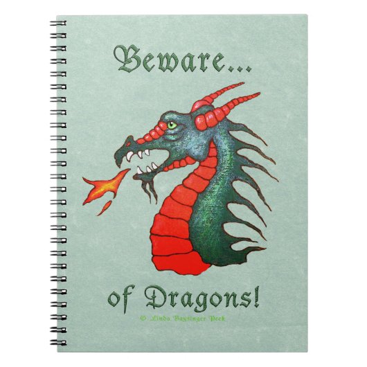 Pas op voor het schilderen van Dragons Notitieboek (Voorkant)