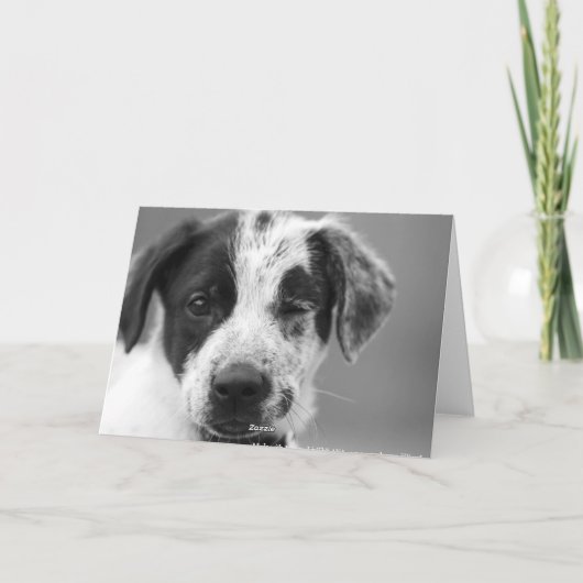 Pas op voor katers kaart (Achterkant)